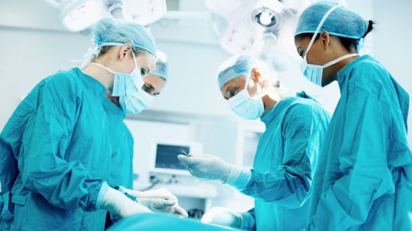 Organspende