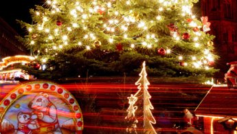Weihnachtsbäume - zwischen Tradition und Experimenten 