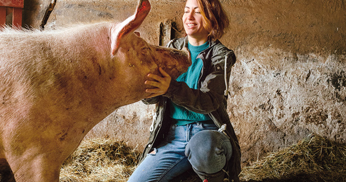 Hof Vegan Bullerbyn schafft Lebensraum für 130 Tiere | chrismon