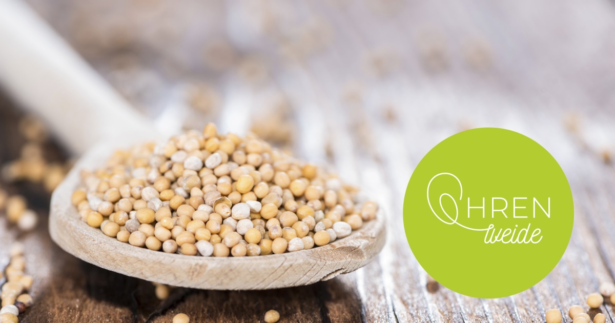 Das Gleichnis vom Senfkorn evangelisch.de