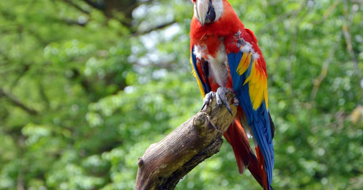Lübecker Ausstellung vergleicht Piraten damals und heute chrismon