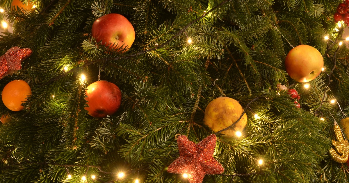 Den Weihnachtsbaum gibt es seit 500 Jahren evangelisch.de