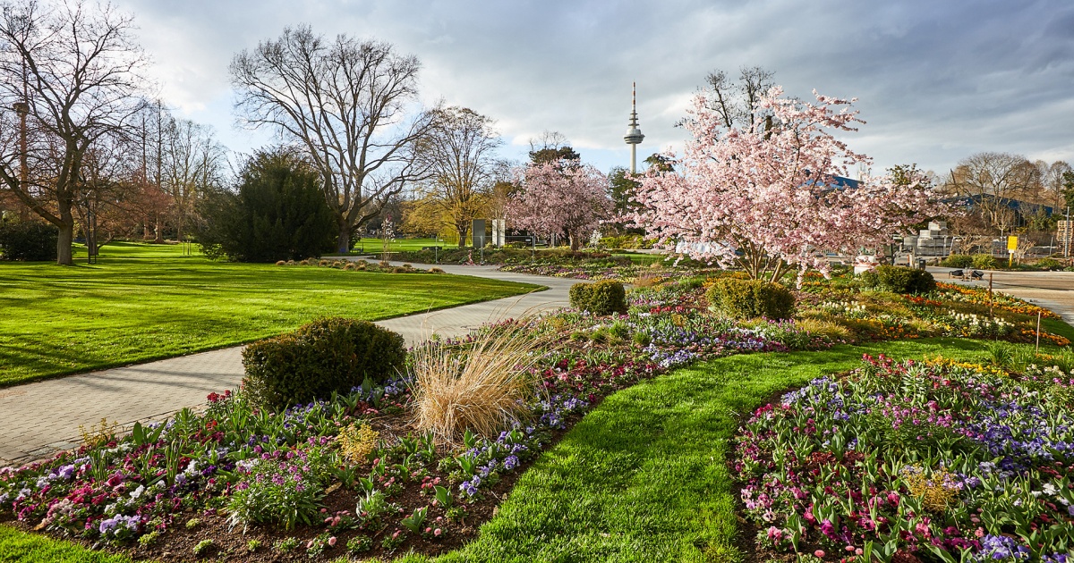 "Der schöne Garten hat etwas vom Paradies" evangelisch.de
