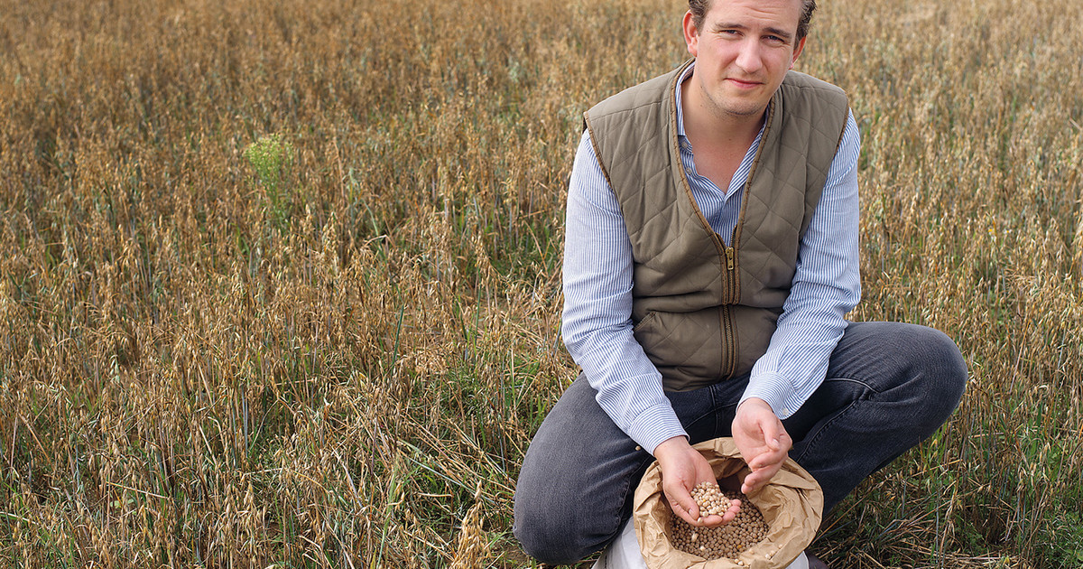 Landwirtschaft im Klimawandel: Wie ein Bauer mit Kichererbsen