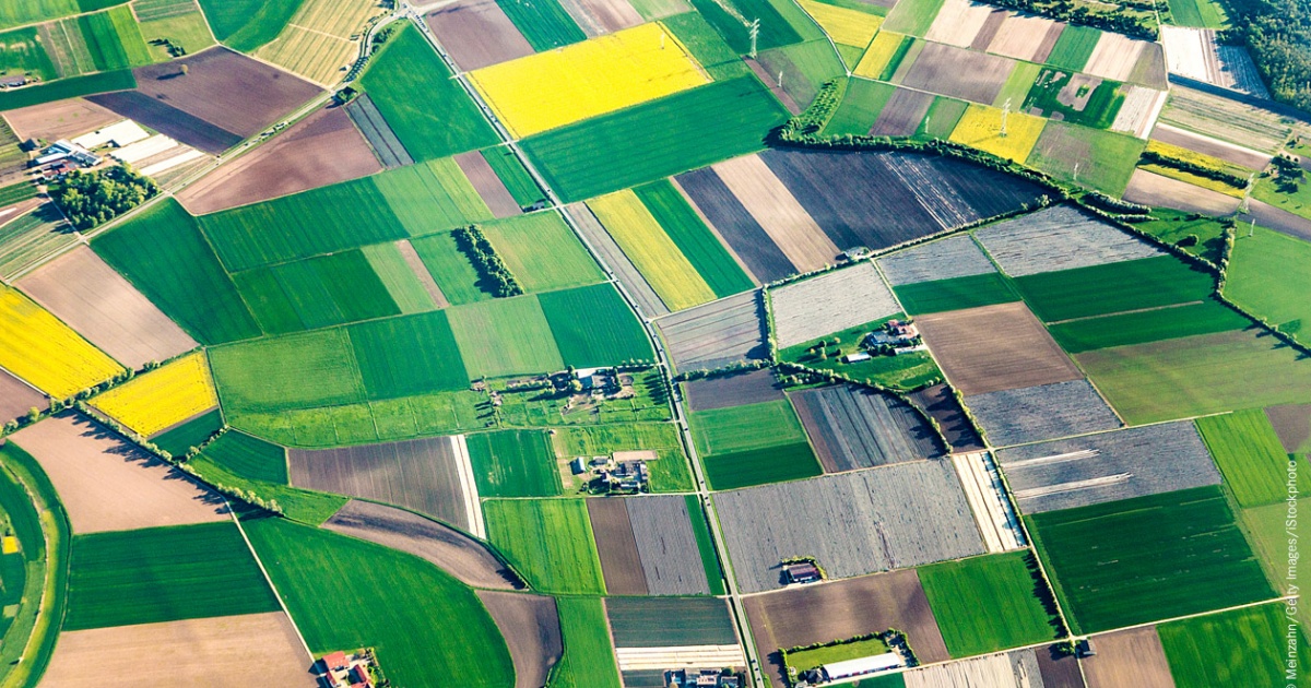 Landwirtschaft | chrismon