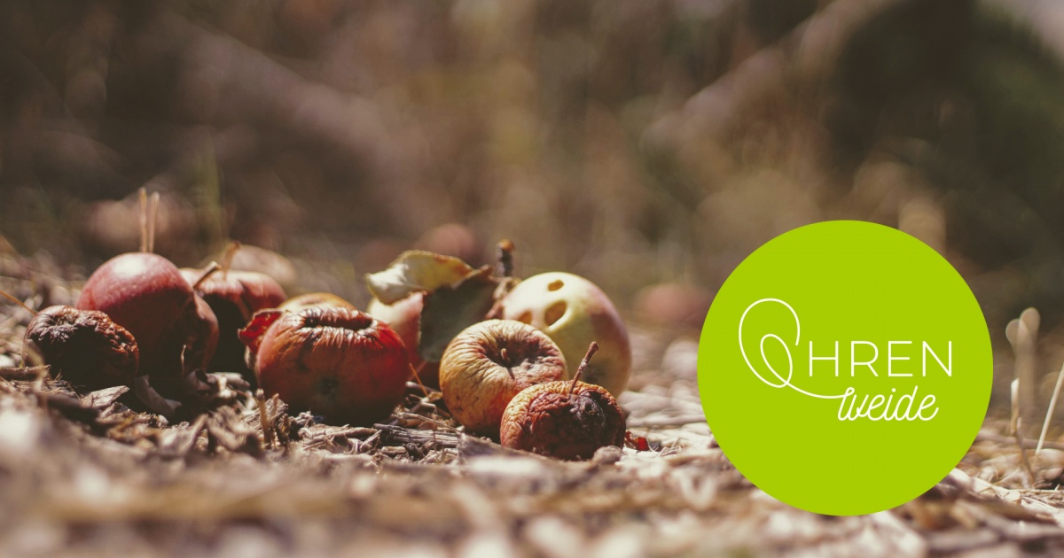 Ballade des äußeren Lebens | evangelisch.de