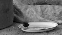 Bild zur Auszeichnung Prize of the Ecumenical Jury, Fribourg 2006
