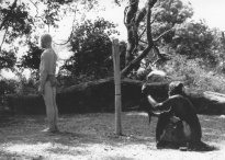 Bild zur Auszeichnung Commendation of the Ecumenical Jury, Cannes 1987